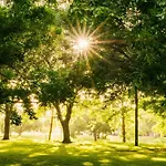 Garner Hotel Essen - Messe By Ihg